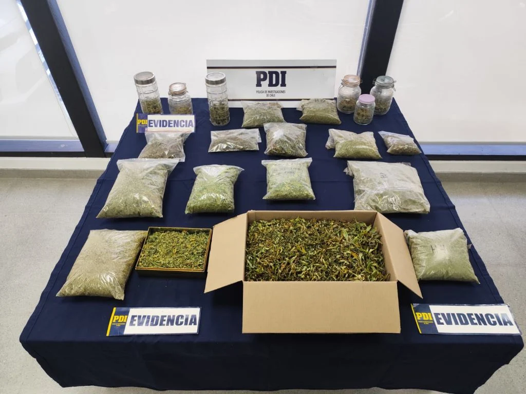 Detuvieron a un sujeto en Fresia e incautaron cannabis avaluada en 45 millones de pesos